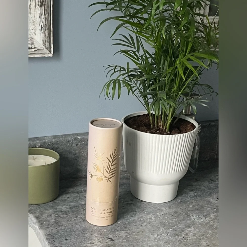 NWT Free People Apothecary Reed Diffuser